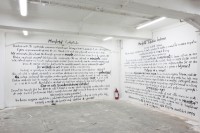 https://salonuldeproiecte.ro/files/gimgs/th-44_9_ Veda Popovici - 4 Manifestos of an Innofensive Nature, 2011 – Installation - wall texts, A4 prints.jpg